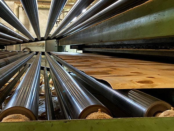 essicatura-del-legno-di-pioppo