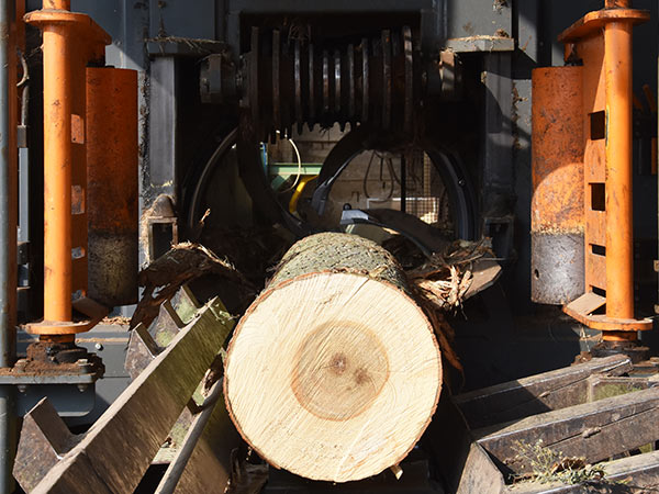 scortecciatura-di-legno